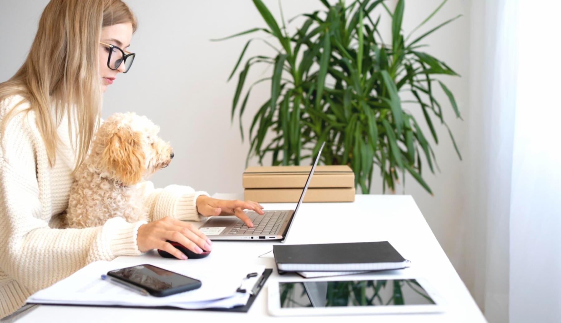 Advanced investment analysis session showing market data and charts